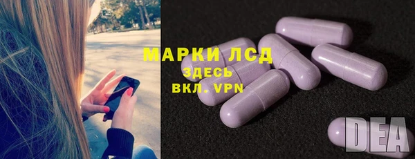 прущие грибы Аркадак