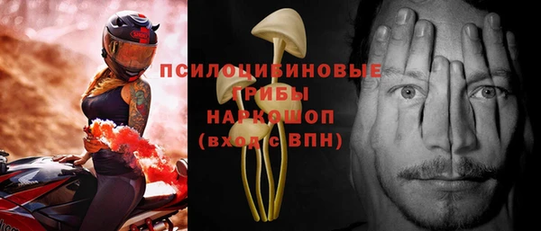 прущие грибы Аркадак