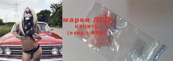 прущие грибы Аркадак