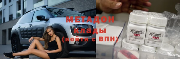 прущие грибы Аркадак