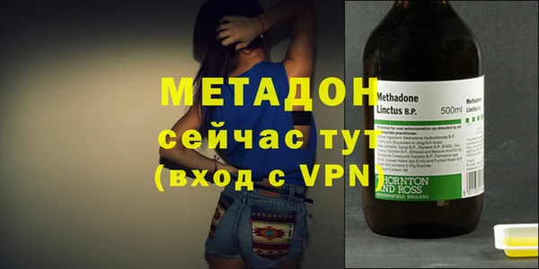 прущие грибы Аркадак