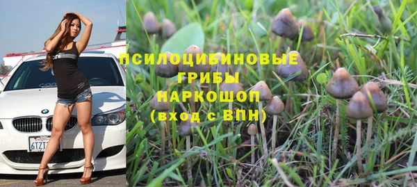 амф Армянск